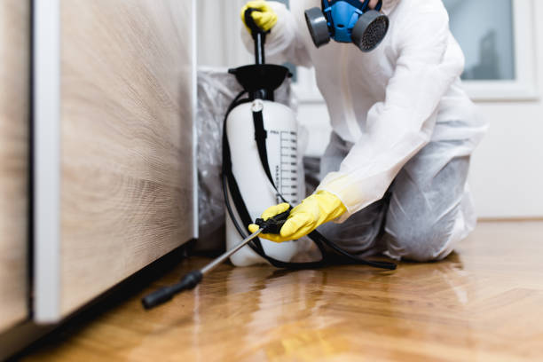 Pest Control for Restaurants in North Richland Hills, TX