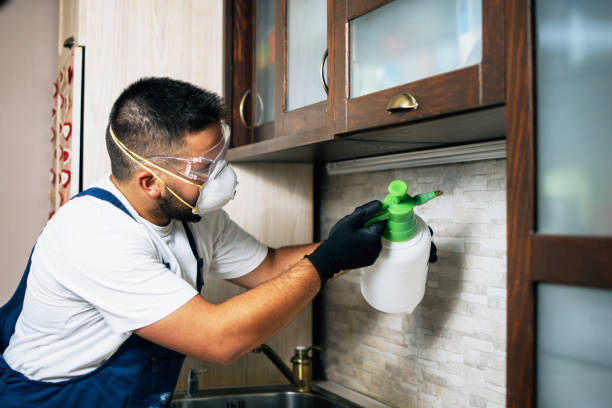 Best Residential Pest Control  in North Richland Hills, TX