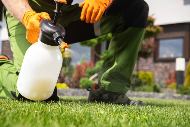 Best Affordable Pest Control Services  in North Richland Hills, TX