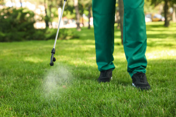 Reliable North Richland Hills, TX Pest Control Solutions