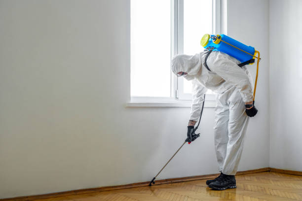Reliable North Richland Hills, TX Pest Control Solutions