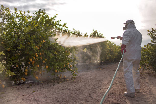 Best Cockroach Control Services  in North Richland Hills, TX