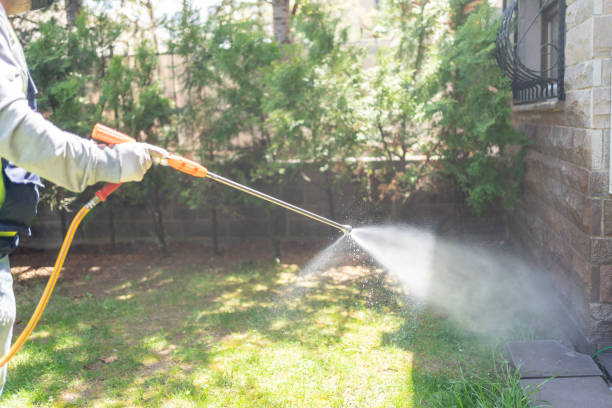 Best Affordable Pest Control Services  in North Richland Hills, TX