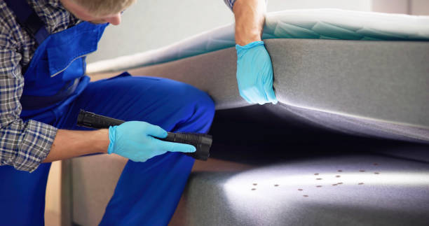 Best Wasp Removal Services  in North Richland Hills, TX
